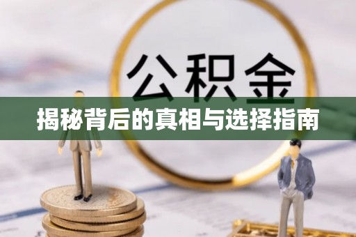 大宁揭秘背后的真相与选择指南
