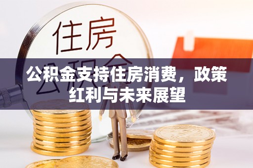 大宁公积金支持住房消费，政策红利与未来展望