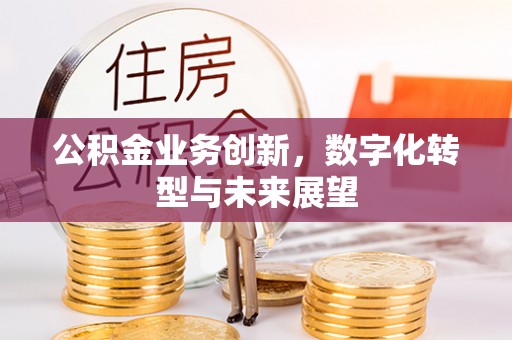 大宁公积金业务创新，数字化转型与未来展望