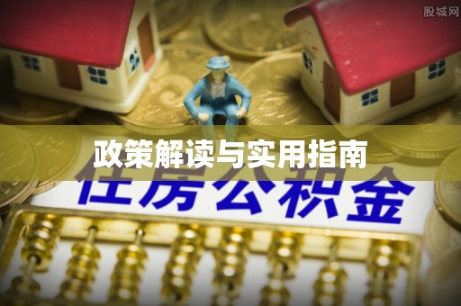 大宁政策解读与实用指南