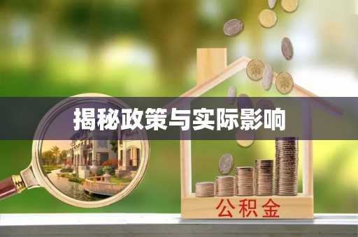 大宁揭秘政策与实际影响
