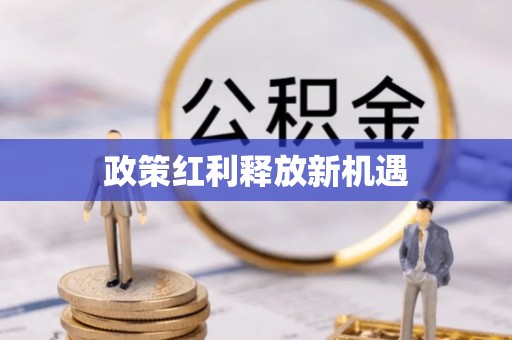 大宁政策红利释放新机遇