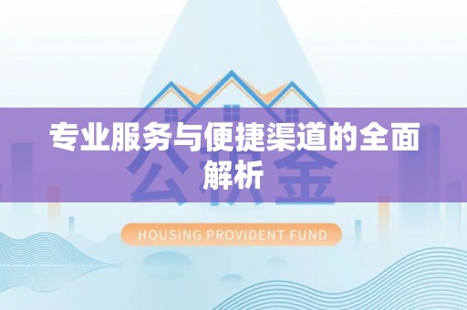 大宁专业服务与便捷渠道的全面解析