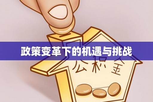大宁政策变革下的机遇与挑战