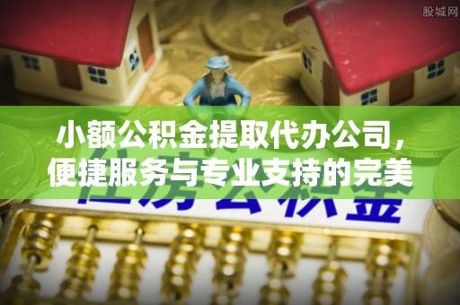 大宁小额公积金提取代办公司，便捷服务与专业支持的完美结合