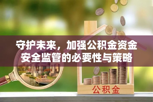 大宁守护未来，加强公积金资金安全监管的必要性与策略